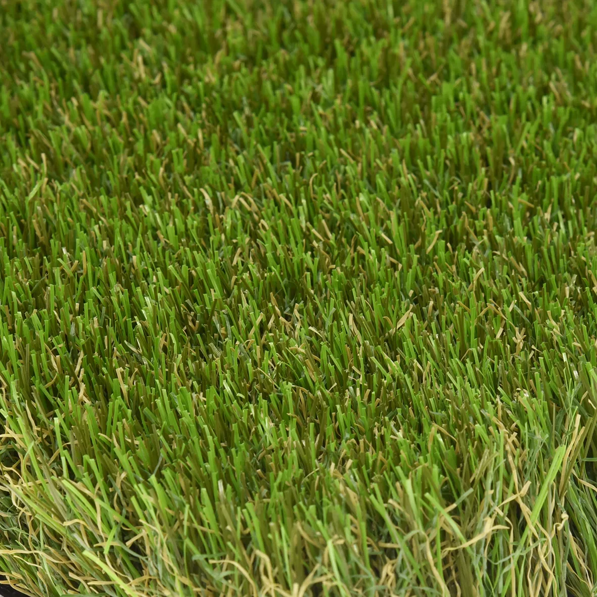 Landscape 38mm
