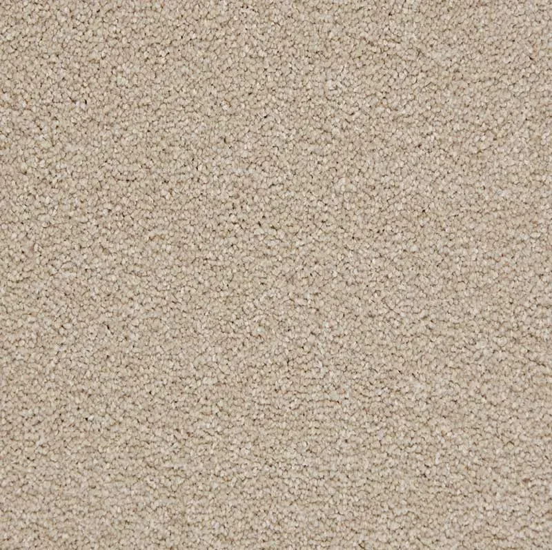 Ambience Cream