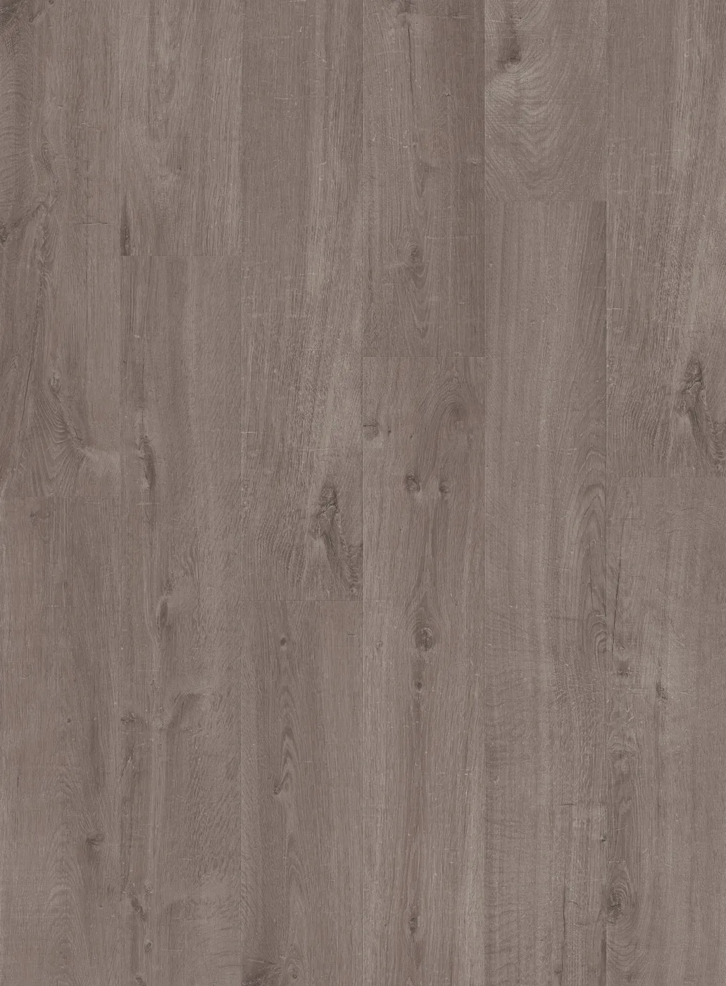 Alpha Bloom Cotton Oak Cosy Grey
